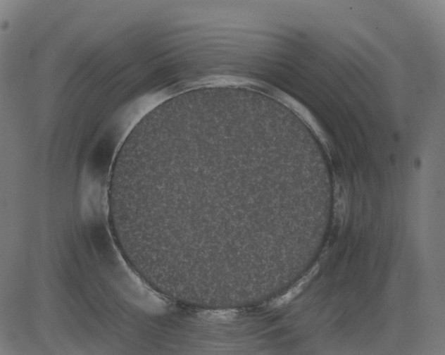 X0000082740810200702091902