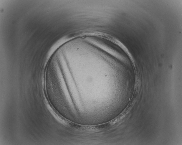 X0000082740811200702091902