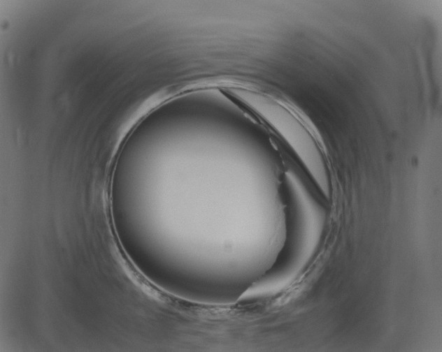 X0000082740813200702091901