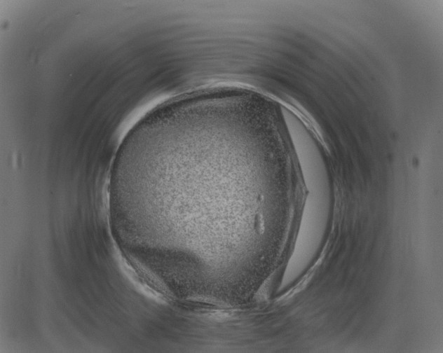 X0000082740814200702091901