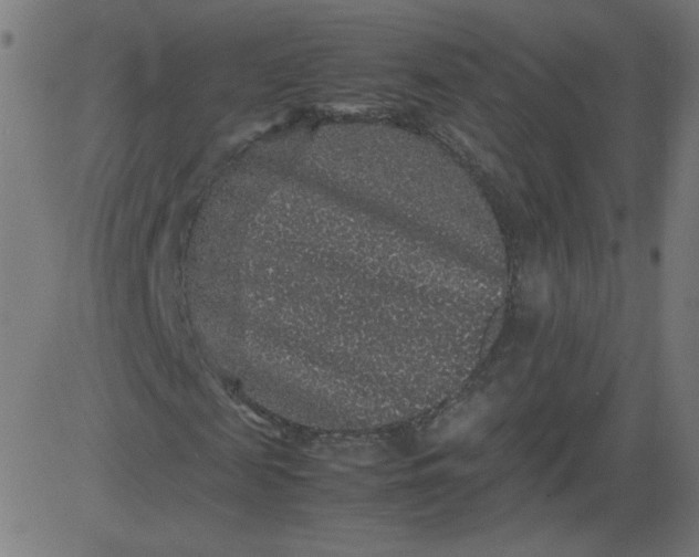 X0000082740817200702091901