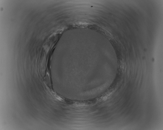 X0000082740818200702091901