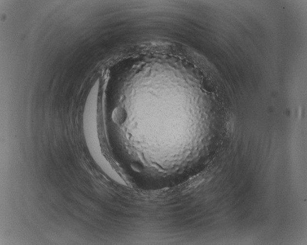 X0000082740819200702091901