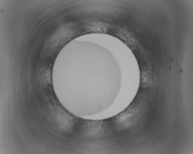 X0000082740820200702091901