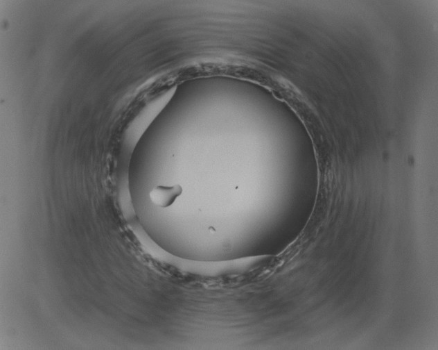 X0000082740822200702091901