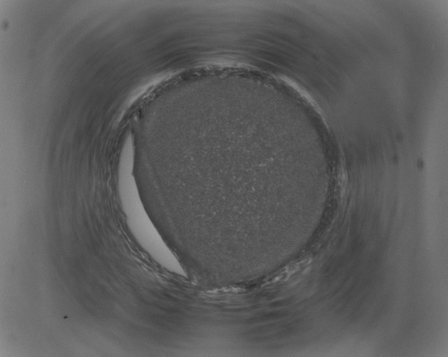 X0000082740823200702091901