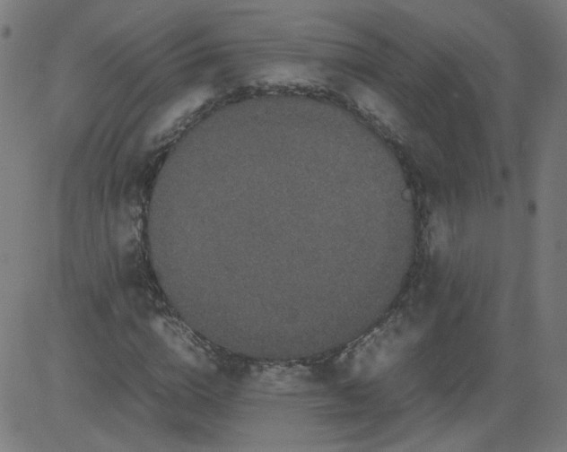 X0000082740824200702091901