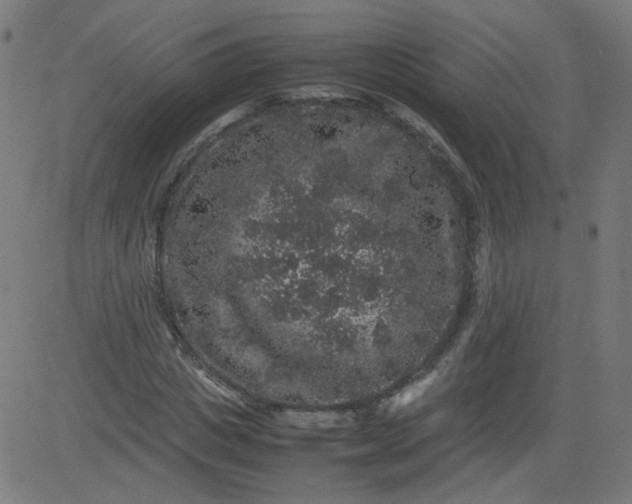 X0000082740825200702091901