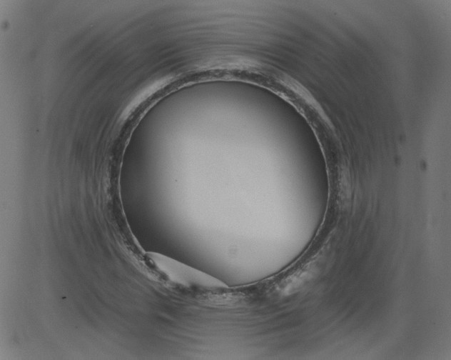 X0000082740826200702091901