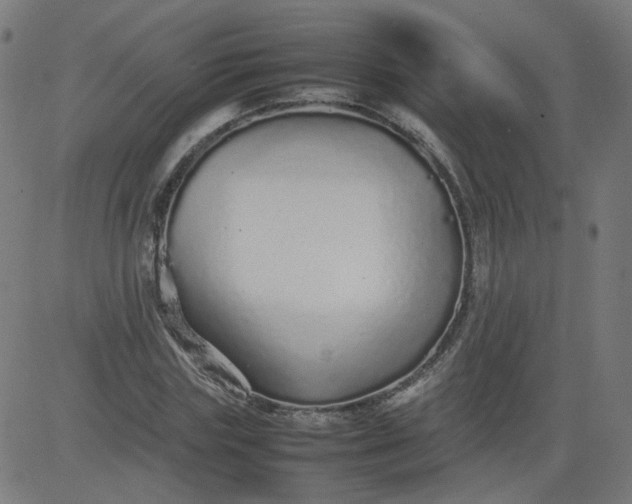 X0000082740827200702091901