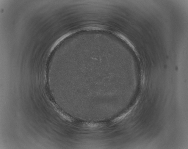 X0000082740829200702091901