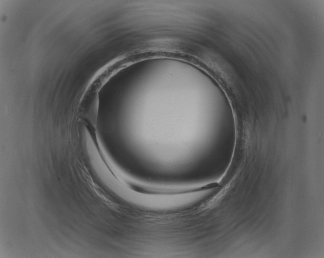 X0000082740830200702091901