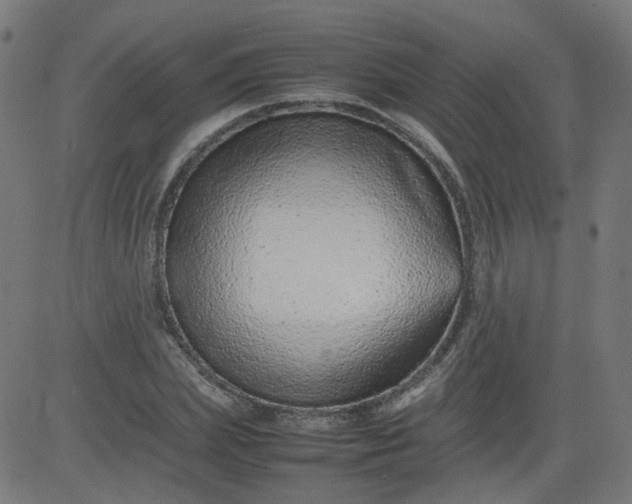 X0000082740831200702091901