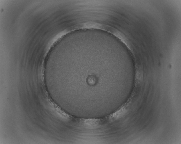 X0000082740832200702091901