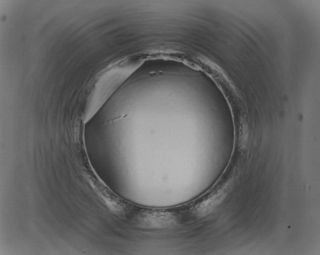 X0000082740833200702091901