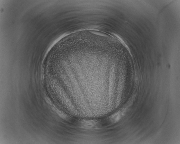 X0000082740835200702091901