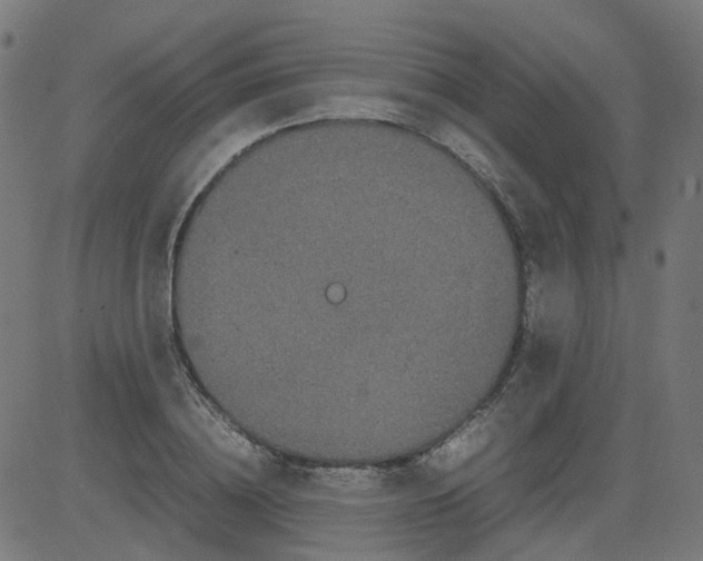 X0000082740836200702091901