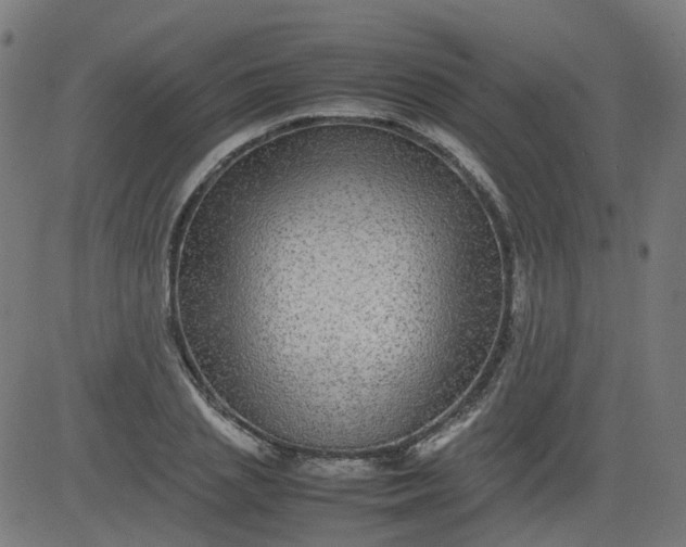 X0000082740837200702091901