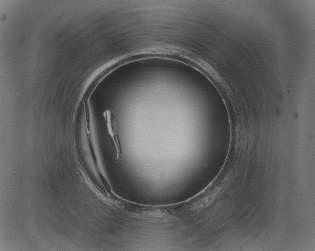 X0000082740838200702091901