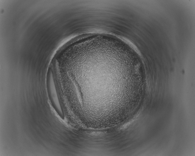 X0000082740839200702091901