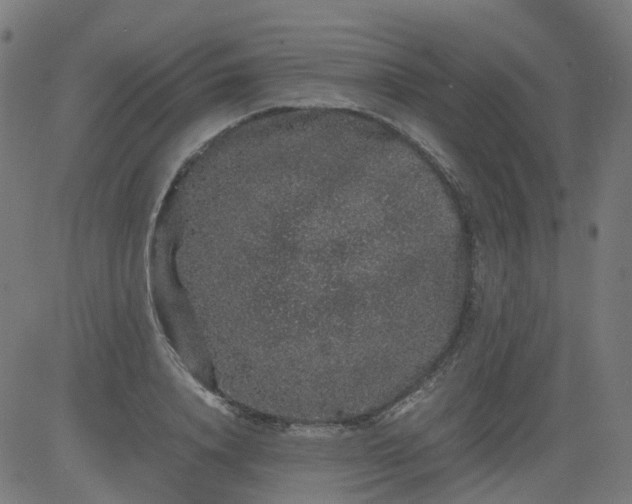 X0000082740840200702091901