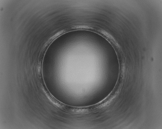 X0000082740841200702091901