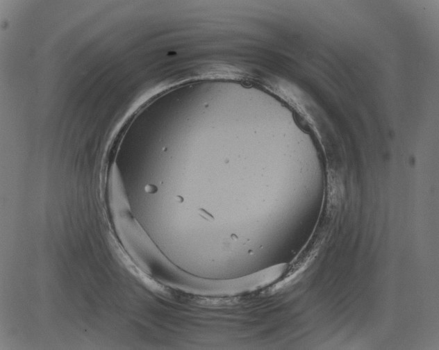 X0000082740843200702091901