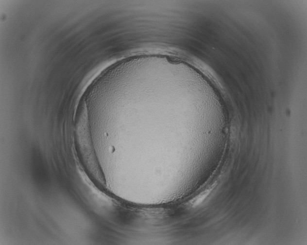 X0000082740844200702091901