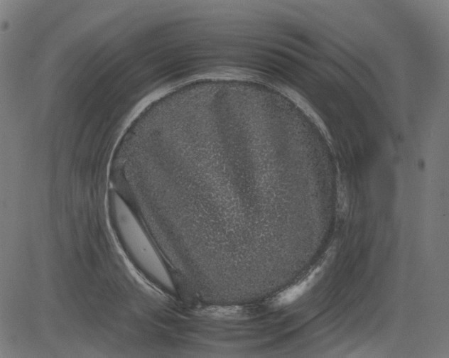 X0000082740845200702091901