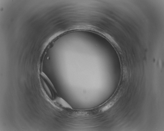 X0000082740846200702091901