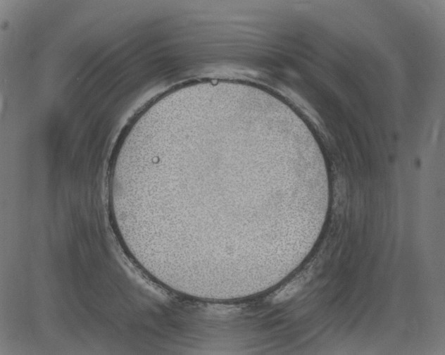 X0000082740848200702091901