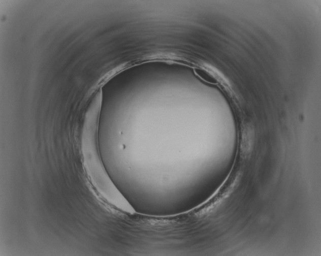 X0000082740849200702091901