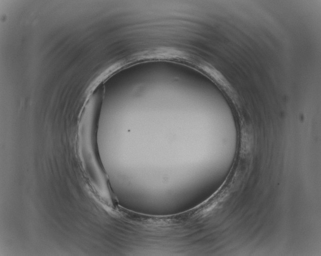 X0000082740850200702091901