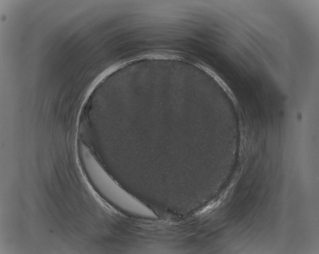 X0000082740853200702091901