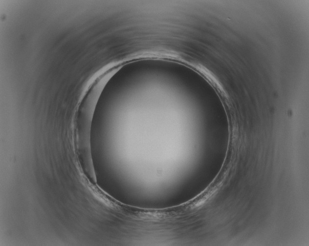 X0000082740854200702091901