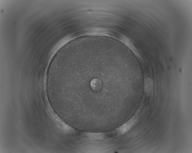 X0000082740856200702091901