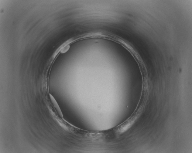 X0000082740858200702091901