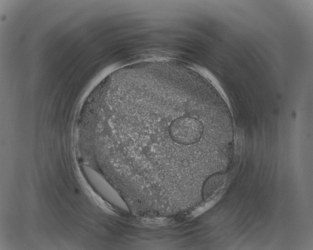 X0000082740859200702091901