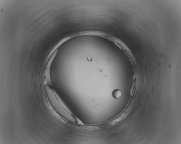 X0000082740860200702091901