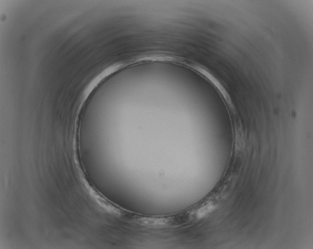 X0000082740861200702091901