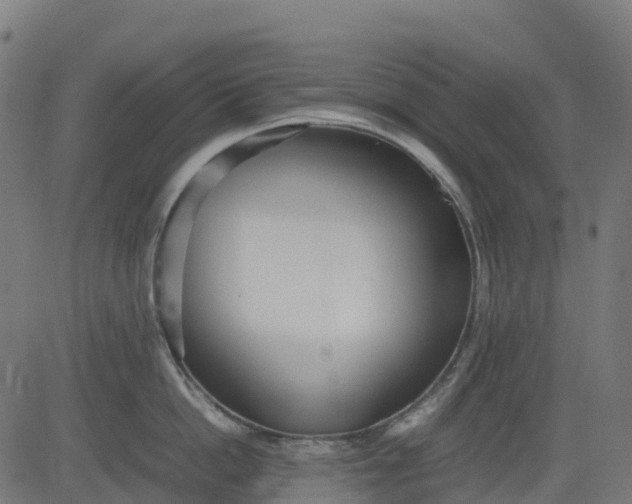 X0000082740862200702091901