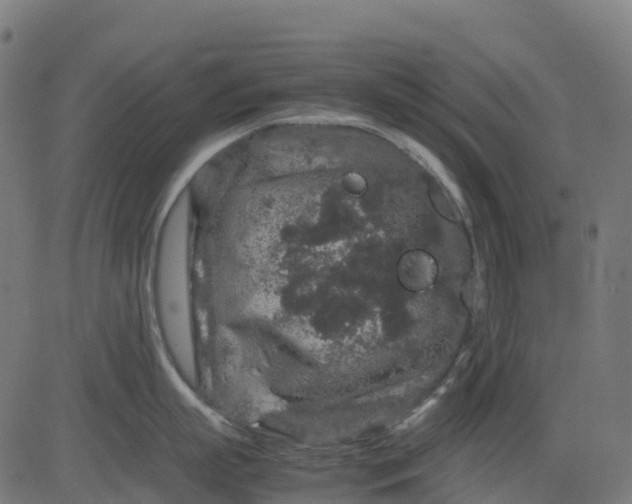 X0000082740863200702091901