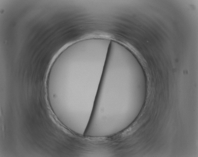 X0000082740864200702091901