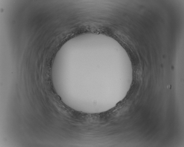 X0000082740865200702091901