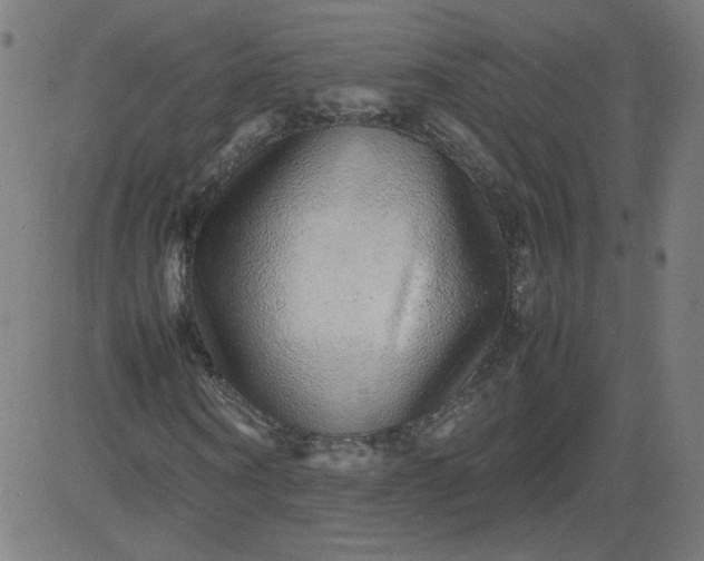 X0000082740866200702091901