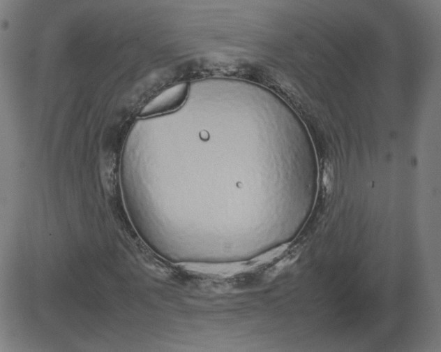 X0000082740867200702091901