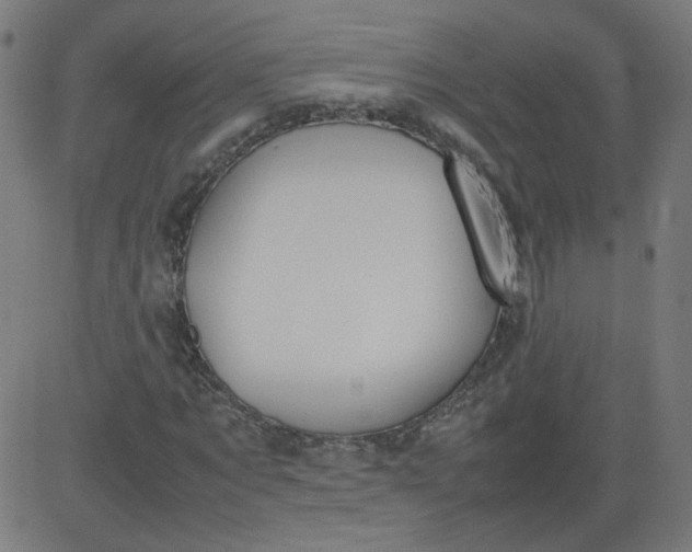 X0000082740869200702091901