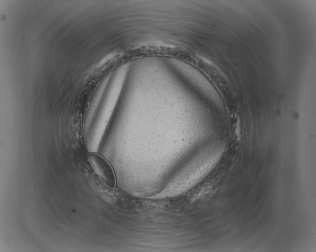 X0000082740870200702091901