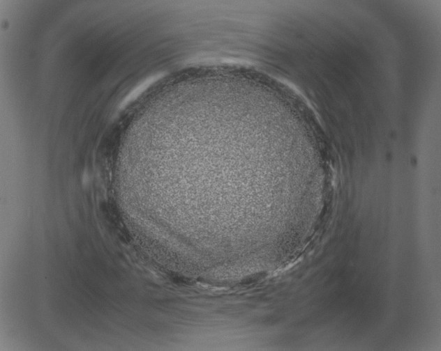 X0000082740871200702091901