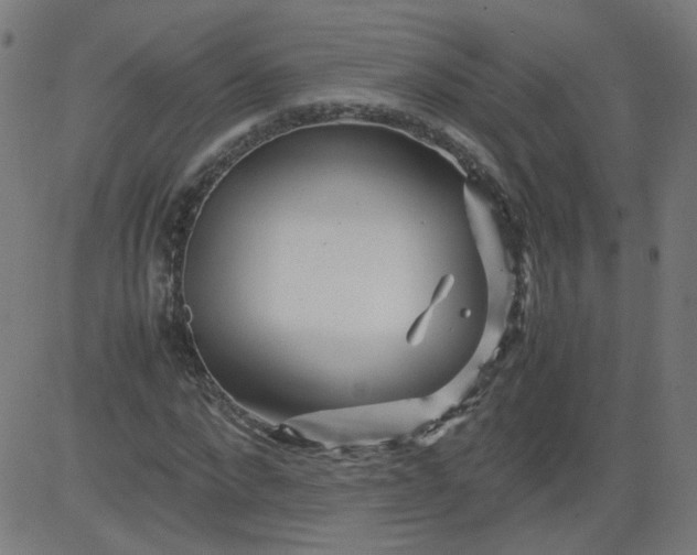 X0000082740872200702091901